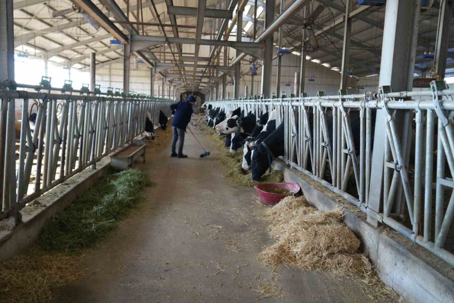 Tarım Ve Orman İl Müdürlüğü’nden Üreticilere Proje Çağrısı