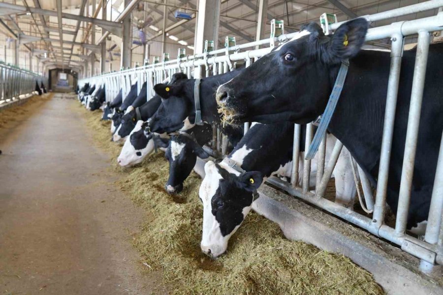 Tarım Ve Orman İl Müdürlüğü’nden Üreticilere Proje Çağrısı