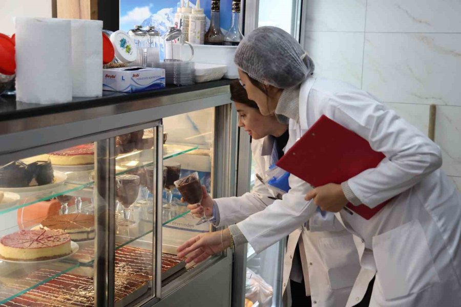 Ekdağ Tesislerinde Tam Teşekküllü Denetim