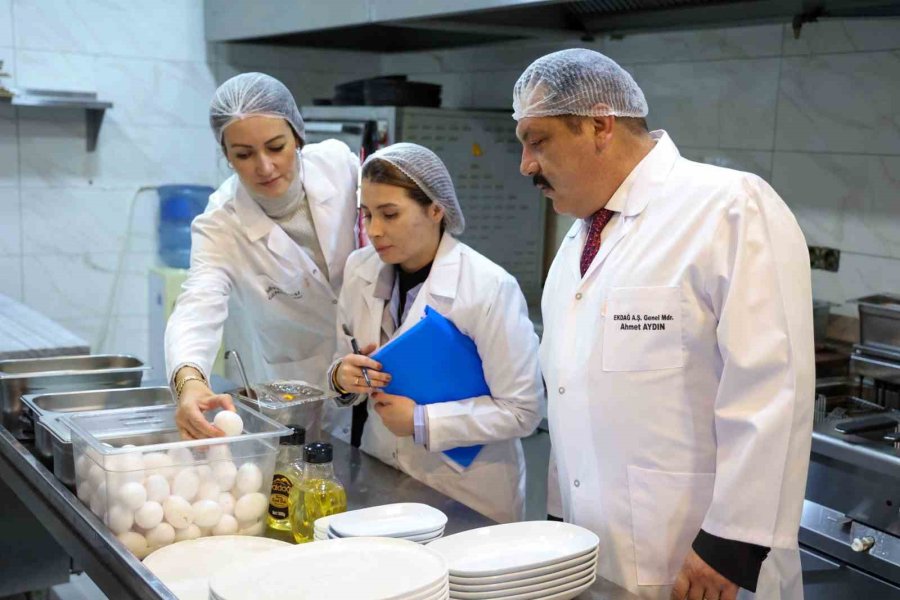 Ekdağ Tesislerinde Tam Teşekküllü Denetim