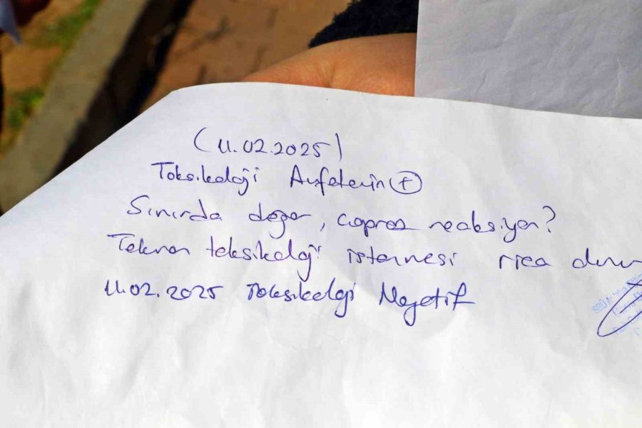 Genç Kadının Özel Güvenlik Hayali ‘pozitif-negatif’ Arasında Kaldı