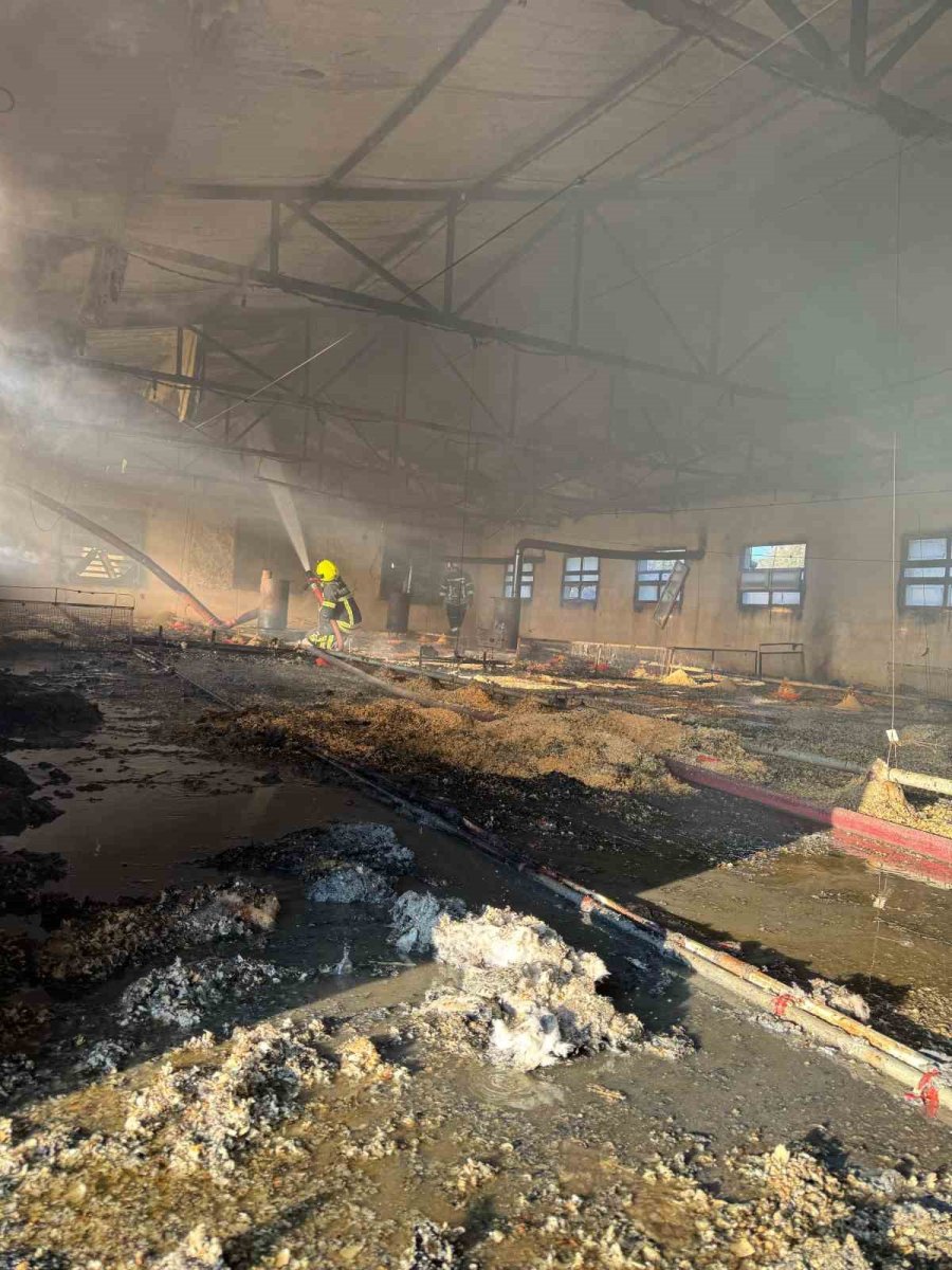 Tarsus’ta Tavuk Üretim Tesisinde Çıkan Yangında Binlerce Civciv Telef Oldu