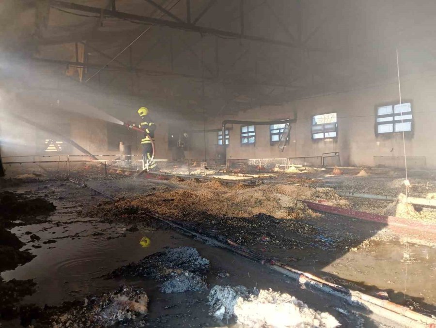 Tarsus’ta Tavuk Üretim Tesisinde Çıkan Yangında Binlerce Civciv Telef Oldu