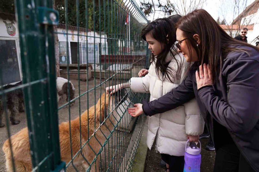 Öğrencilerden Can Dostlara Anlamlı Bağış