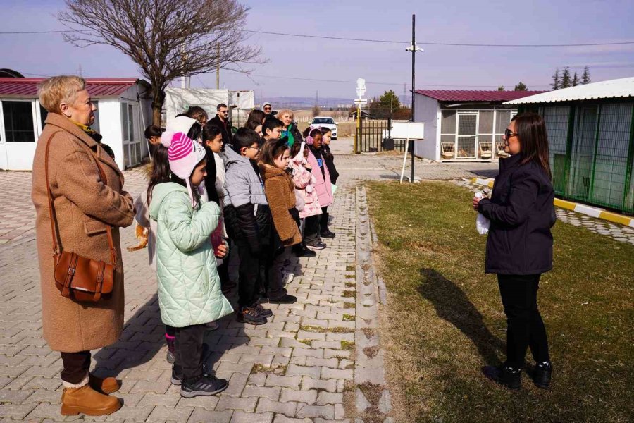 Öğrencilerden Can Dostlara Anlamlı Bağış