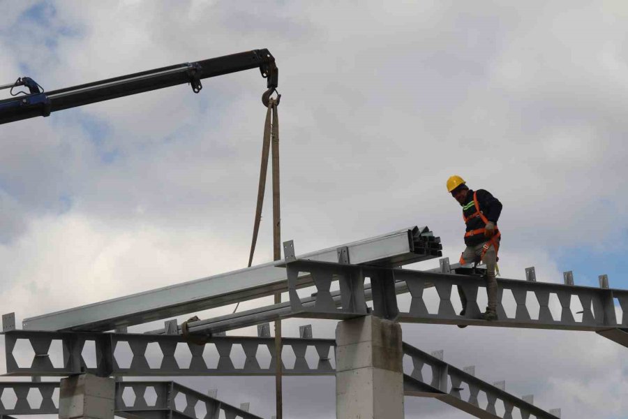 Eskişehir’de 70 Dönümlük Alana Hayvan Bakımevi İnşa Ediliyor