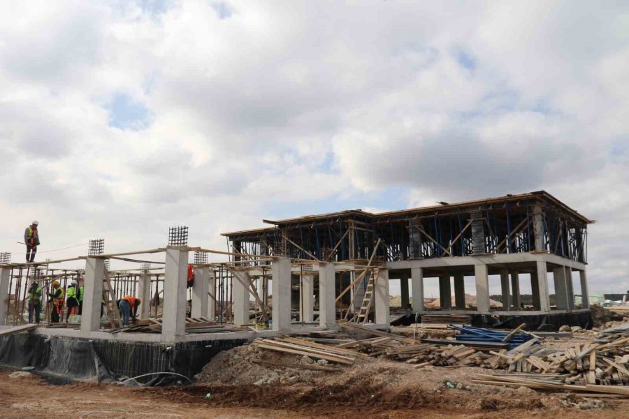 Eskişehir’de 70 Dönümlük Alana Hayvan Bakımevi İnşa Ediliyor