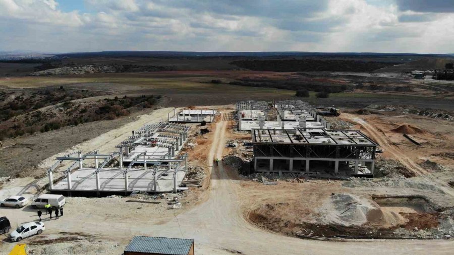 Eskişehir’de 70 Dönümlük Alana Hayvan Bakımevi İnşa Ediliyor