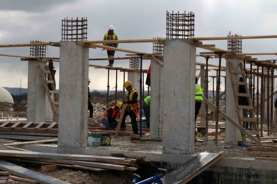 Eskişehir’de 70 Dönümlük Alana Hayvan Bakımevi İnşa Ediliyor