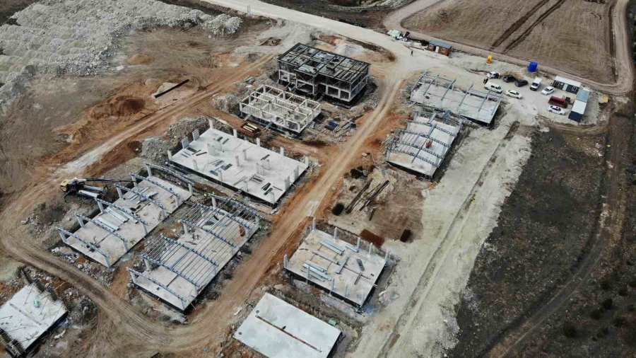 Eskişehir’de 70 Dönümlük Alana Hayvan Bakımevi İnşa Ediliyor