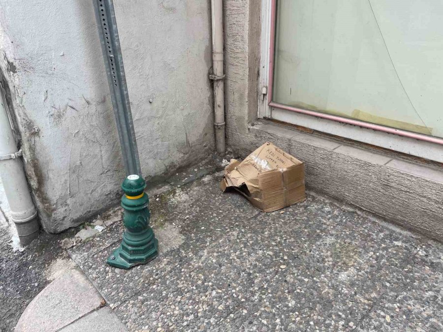 ‘lütfen Ellemeyin’ Notu Da Fayda Etmedi: Kedi Yuvası Tahrip Edildi