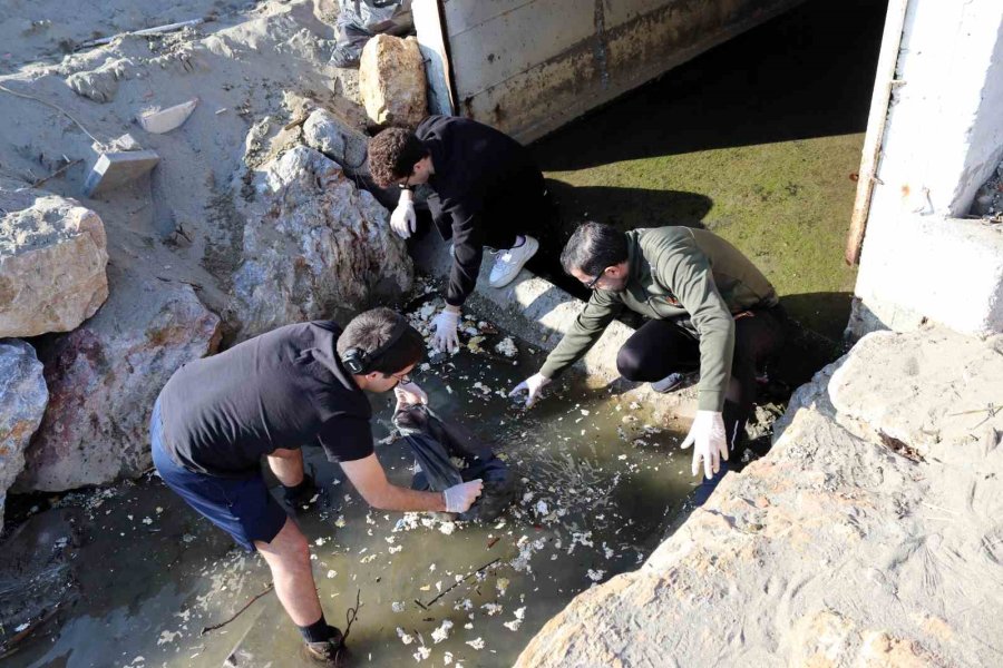 Alanya’da Gençlerden Sahil Temizliği