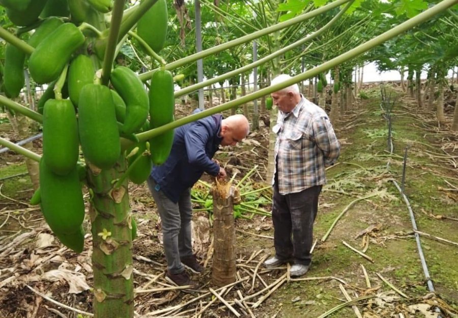 Çiftçilere Biyolojik Mücadele Desteği