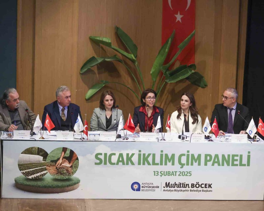 Kuraklık Ve Su Krizine Karşı Çevre Dostu Çimler