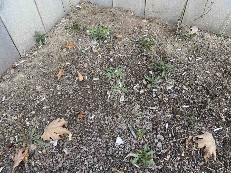 Duyarsız Vatandaşlar Yere İzmarit Atılmamasıyla İlgili Yasağı Dikkate Almadı