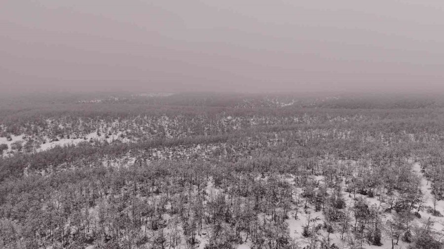 Eskişehir’in Kırsalına Yağan Kar Eşsiz Manzaralar Oluşturdu
