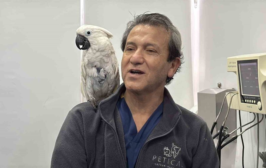 Mersin’de Veterinerlerin Dans Ettiği Papağan Sosyal Medyada Viral Oldu