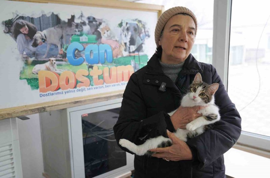 57 Patili Dost Sıcak Yuvasına Kavuştu