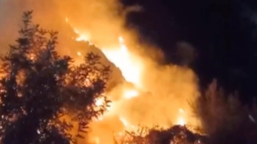 Mersin’de Yangın, Alevler Bahçelere Sıçramadan Söndürüldü