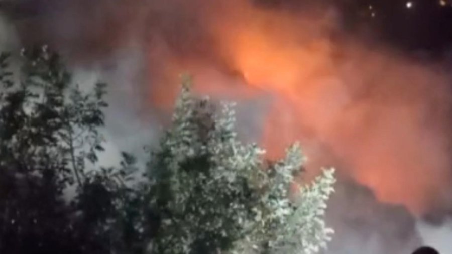 Mersin’de Yangın, Alevler Bahçelere Sıçramadan Söndürüldü