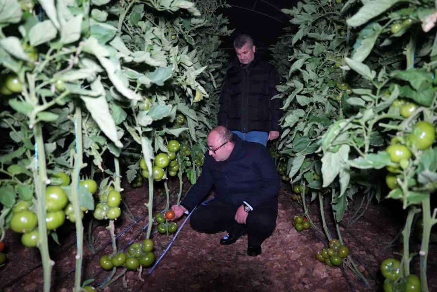 Sobalar Yakılmaya Devam Ediyor, Zirai Don Nöbeti Sıfır Rakıma Kadar İndi