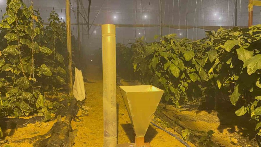 Gazipaşa’da Dondurucu Soğukta Zirai Don Nöbeti