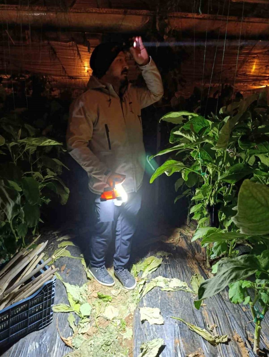 Gazipaşa’da Dondurucu Soğukta Zirai Don Nöbeti