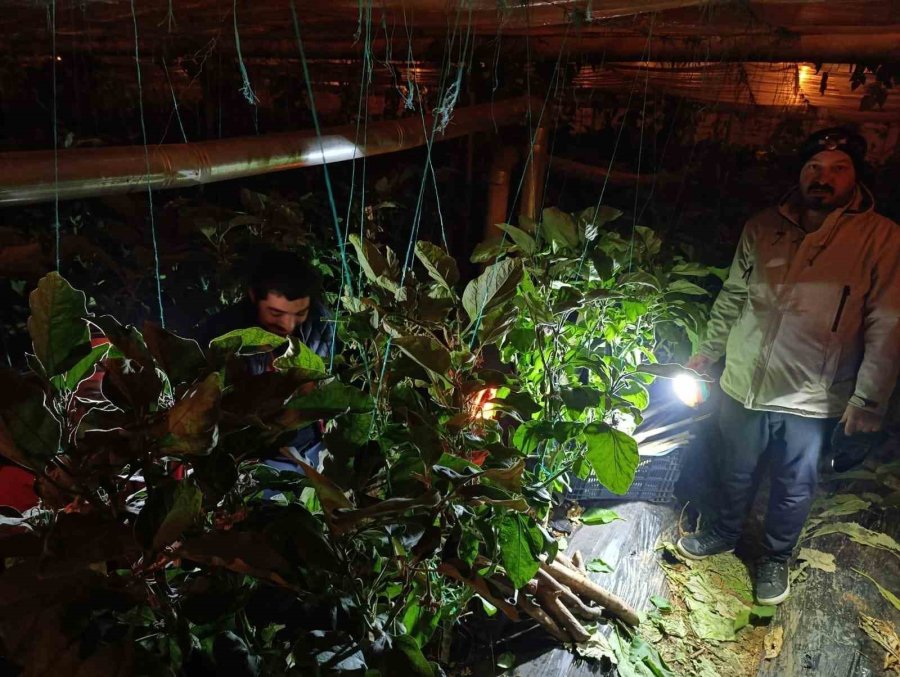 Gazipaşa’da Dondurucu Soğukta Zirai Don Nöbeti