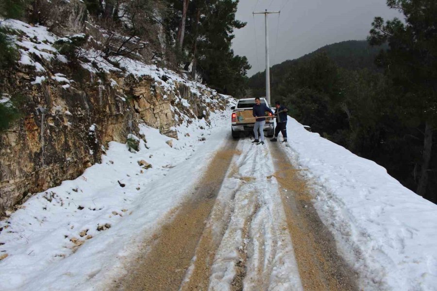 Büyükşehir Ekiplerinden Buz Tutan Yollarda Tuzlama Çalışması