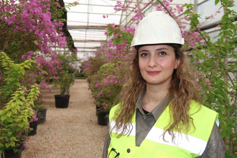 Çöplükteki Gazla Bozkırda 2 Bin Metrekarelik ‘akdeniz’ Oluşturulup Tropikal Bitki Yetiştiriliyor