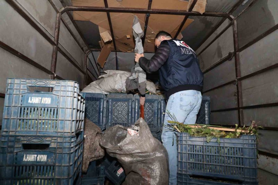 Mersin’de Tefeci Operasyonu: 7 Tutuklama