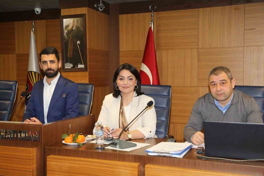 Altso, Şubat Ayı Meclis Toplantısı Gerçekleştirildi