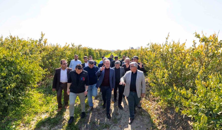 Başkan Seçer, Zirai Dondan Etkilenen Çiftçilerle Bira Araya Geldi