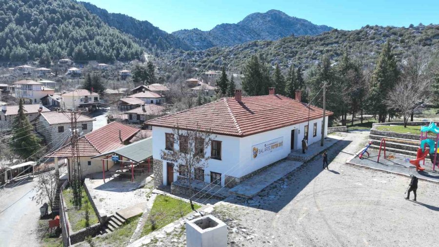 Büyükşehir Belediyesinin Bal Arısı Petek Evi Açılışa Hazırlanıyor