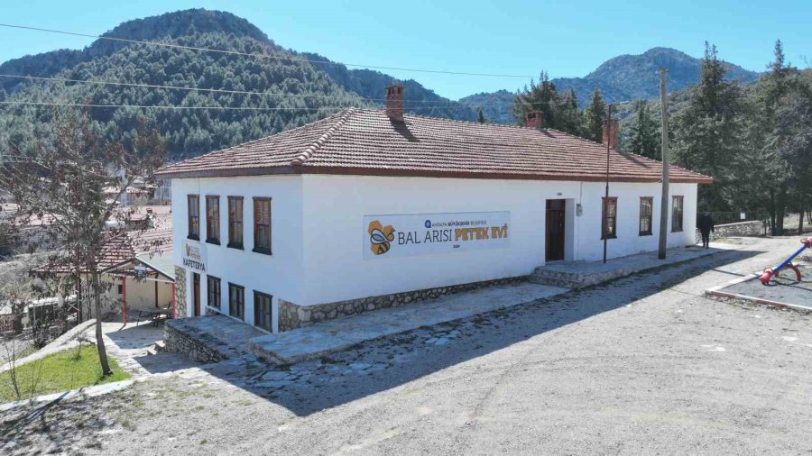 Büyükşehir Belediyesinin Bal Arısı Petek Evi Açılışa Hazırlanıyor