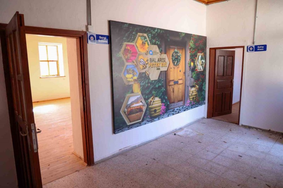 Büyükşehir Belediyesinin Bal Arısı Petek Evi Açılışa Hazırlanıyor