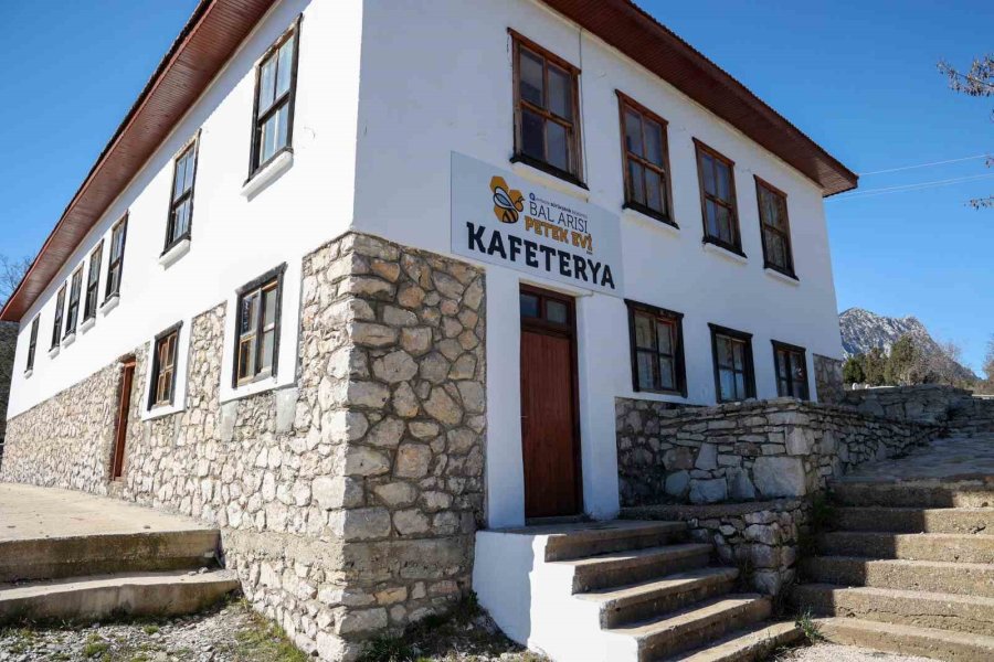 Büyükşehir Belediyesinin Bal Arısı Petek Evi Açılışa Hazırlanıyor