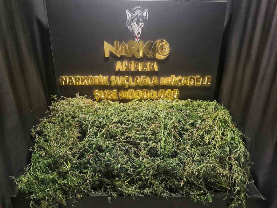 Antalya’da 1 Haftada 37 Şüpheli Yakalandı, 23’ü Tutuklandı