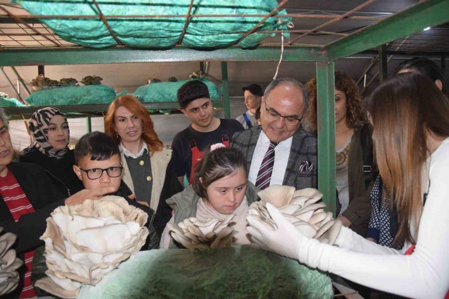 Tarım Lisesi Öğrencileri, Özel Eğitim Öğrencileriyle Mantar Hasadı Yaptı