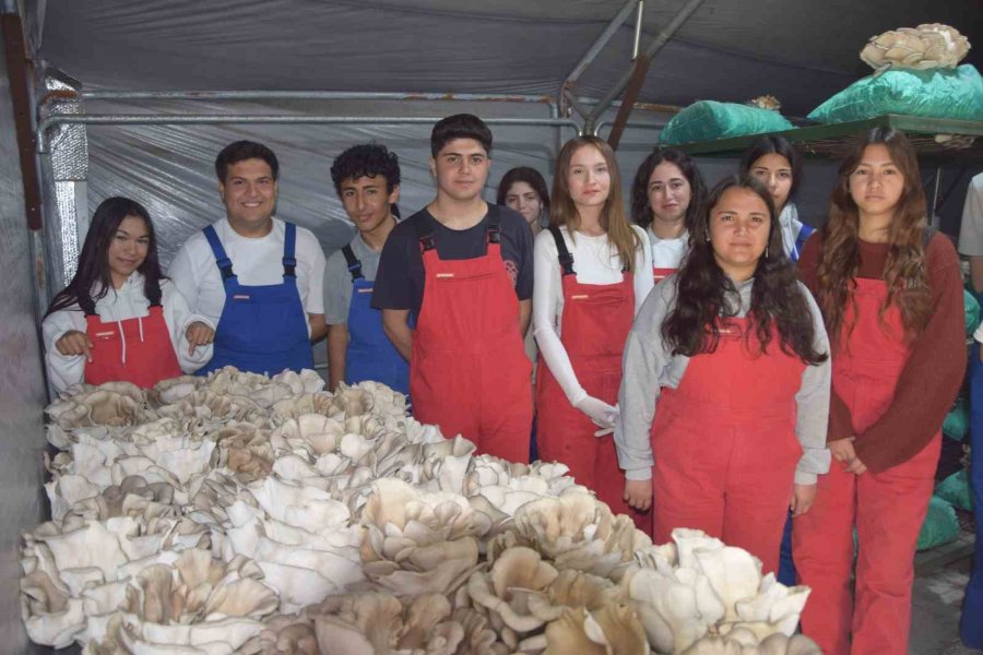 Tarım Lisesi Öğrencileri, Özel Eğitim Öğrencileriyle Mantar Hasadı Yaptı
