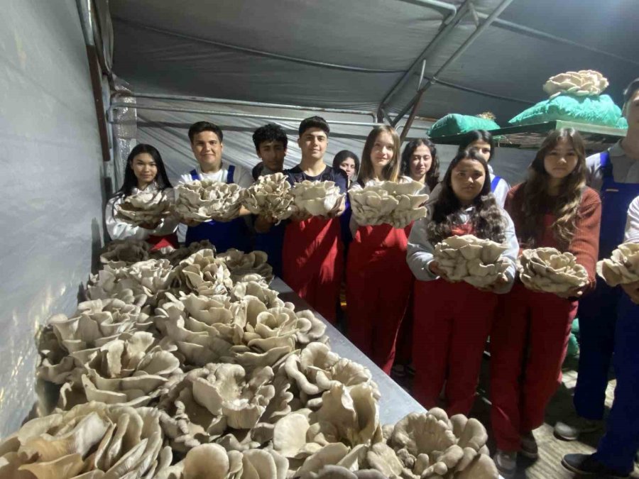 Tarım Lisesi Öğrencileri, Özel Eğitim Öğrencileriyle Mantar Hasadı Yaptı