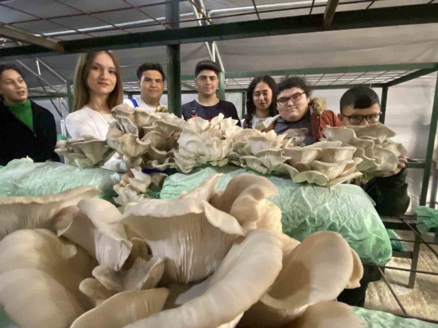 Tarım Lisesi Öğrencileri, Özel Eğitim Öğrencileriyle Mantar Hasadı Yaptı