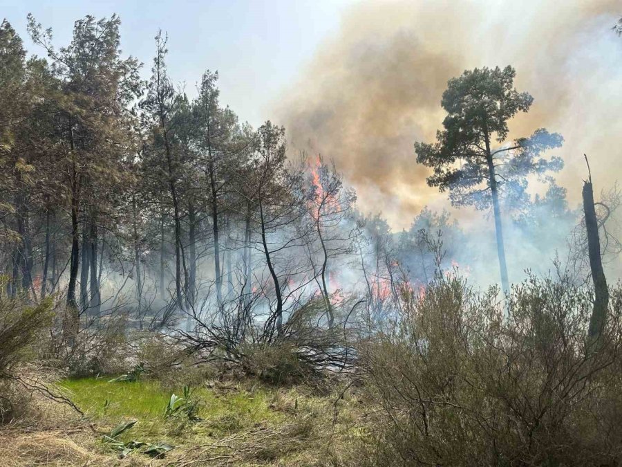 Kemer’de Orman Yangını