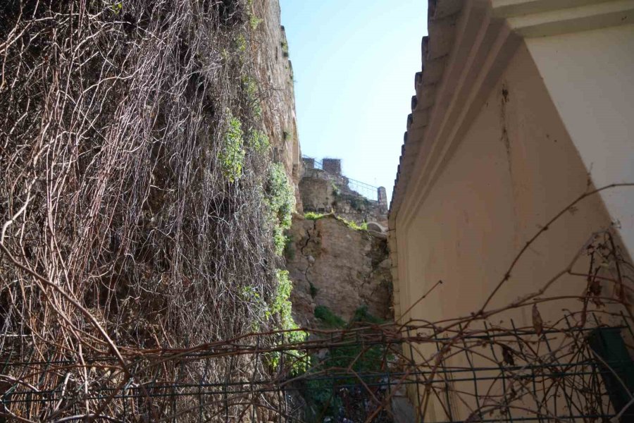 Tarihi Kaleiçi Surları Çökme Tehlikesiyle Karşı Karşıya