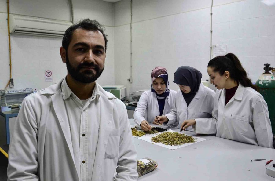 Bilimsel Araştırma Yapıldı: ’kış Çayları Yarardan Çok Zarar Verebilir’