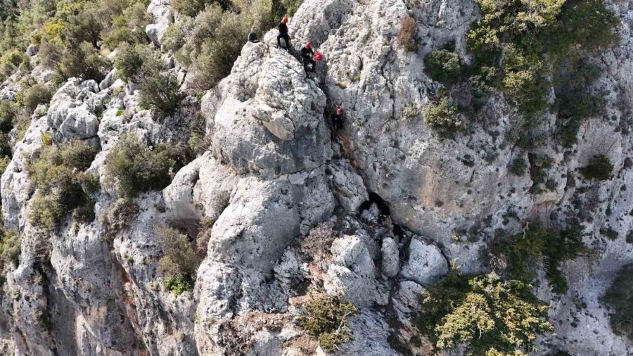 Kayalıklarda Mahsur Kalan Keçiler 4 Gün Sonra Kurtarıldı