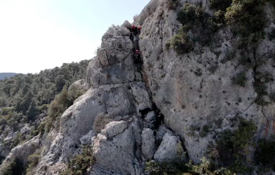 Kayalıklarda Mahsur Kalan Keçiler 4 Gün Sonra Kurtarıldı