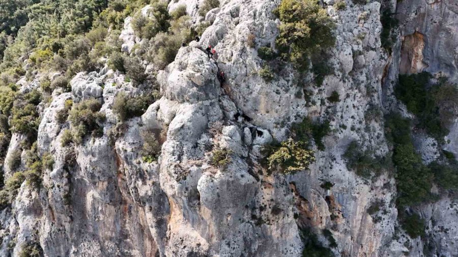 Kayalıklarda Mahsur Kalan Keçiler 4 Gün Sonra Kurtarıldı