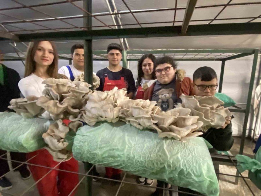 Tarım Lisesi Öğrencileri, Özel Eğitim Öğrencileriyle Mantar Hasadı Yaptı