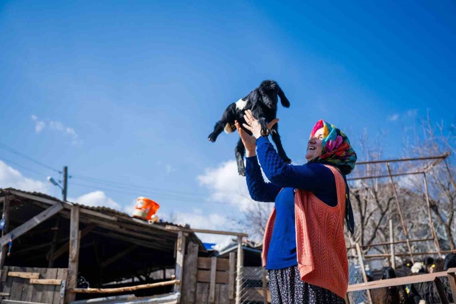 Kırsal Kalkınma Destekleri Köyden Kente Göçün Önüne Geçiyor